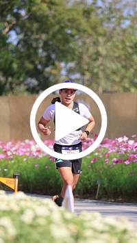 BIB:  <button type="button" onclick="openModal(27588079)" class="btn btn-primary btn-sm float-right" data-toggle="modal" data-target=".modal-high-quality">
                <i class="fa fa-download"></i> Download
                </button>